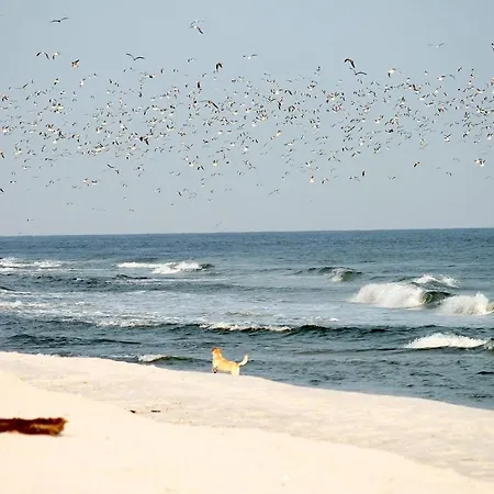 White Pearl 1.10 Timmendorfer Strand